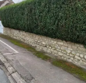 taille de haie gargenville